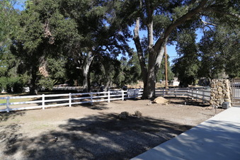 Enlarge photo 16