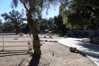 Enlarge photo 19