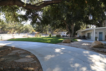 Enlarge photo 28
