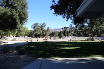 Enlarge photo 33
