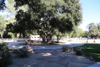 Enlarge photo 32
