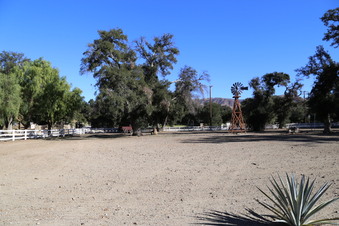 Enlarge photo 77