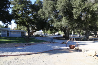 Enlarge photo 72