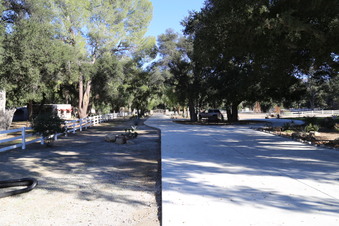 Enlarge photo 79