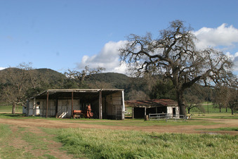 Enlarge photo 5