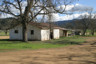 Enlarge photo 6