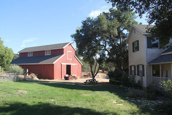 Enlarge photo 2