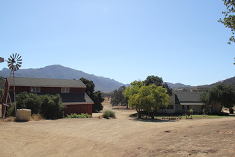 Enlarge photo 5