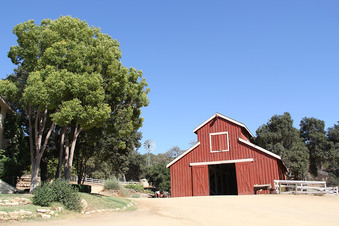 Enlarge photo 11