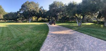 Enlarge photo 34