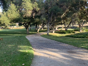Enlarge photo 33
