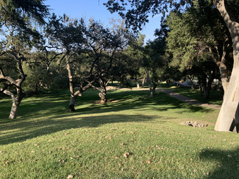 Enlarge photo 43