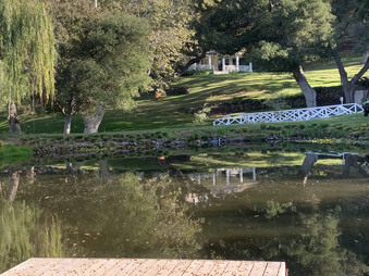 Enlarge photo 46