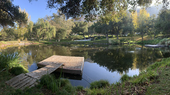 Enlarge photo 48