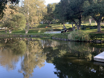 Enlarge photo 49