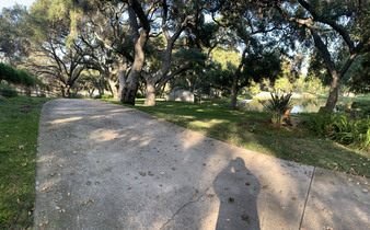 Enlarge photo 51