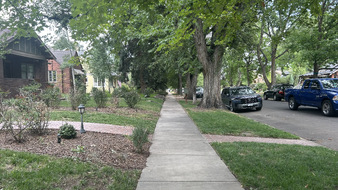 Enlarge photo 17