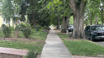 Enlarge photo 15