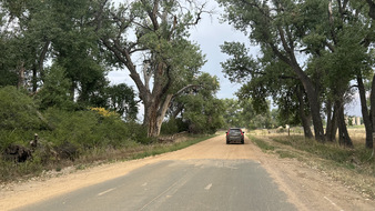 Enlarge photo 8