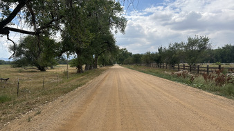 Enlarge photo 16