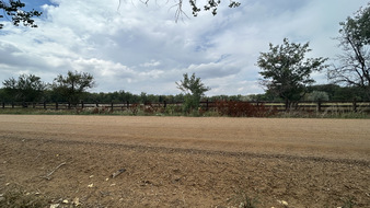 Enlarge photo 20