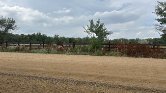 Enlarge photo 21