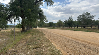 Enlarge photo 23