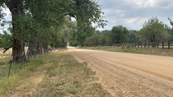 Enlarge photo 24