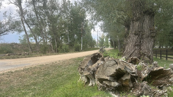 Enlarge photo 2