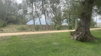 Enlarge photo 4
