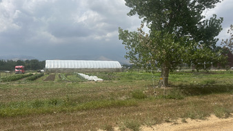 Enlarge photo 22