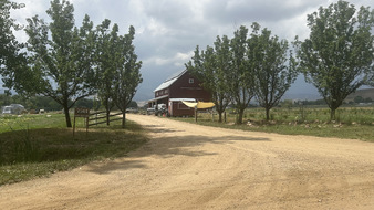 Enlarge photo 24