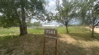 Enlarge photo 26