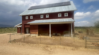 Enlarge photo 35