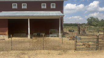 Enlarge photo 36