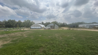 Enlarge photo 66