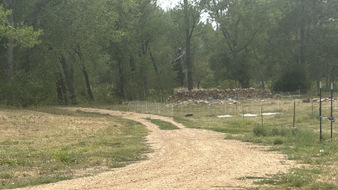 Enlarge photo 79