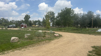 Enlarge photo 86