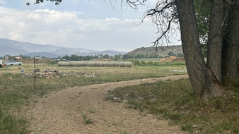 Enlarge photo 102