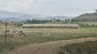 Enlarge photo 103