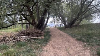 Enlarge photo 105
