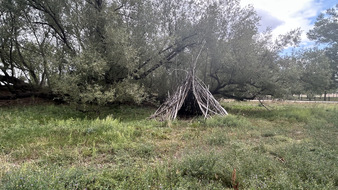 Enlarge photo 107