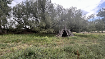 Enlarge photo 109