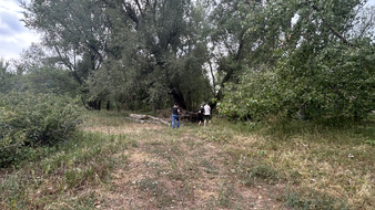 Enlarge photo 110