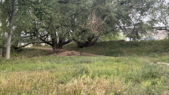 Enlarge photo 112