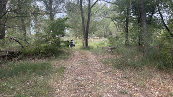 Enlarge photo 113