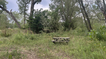 Enlarge photo 115