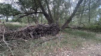 Enlarge photo 117