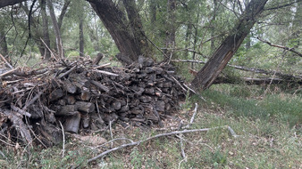 Enlarge photo 118