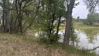 Enlarge photo 119